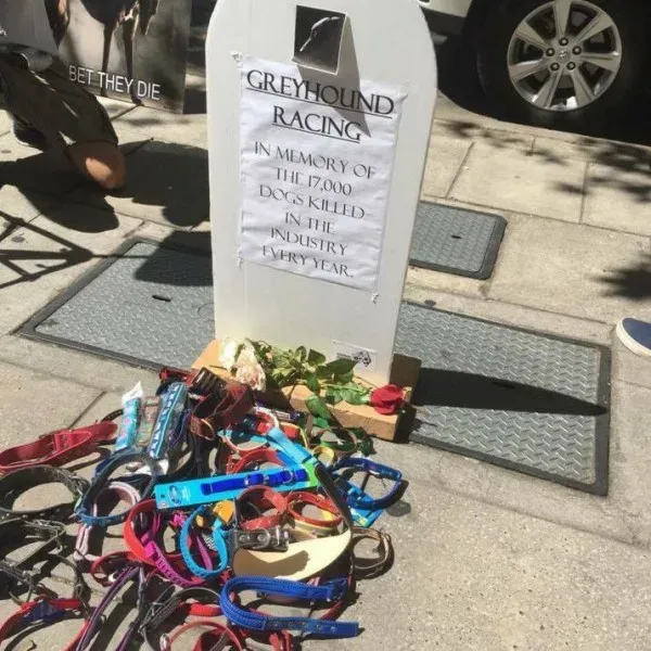 12717604 10154529317220299 7491551270443287505 n