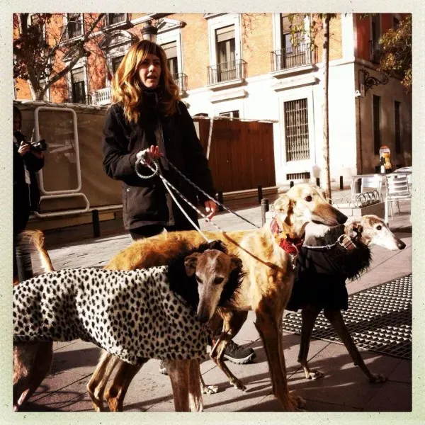 12717709 947137265383106 2375571747938465894 n