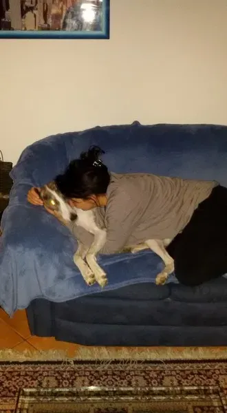 12718398 1994435280781059 6218564170899452938 n