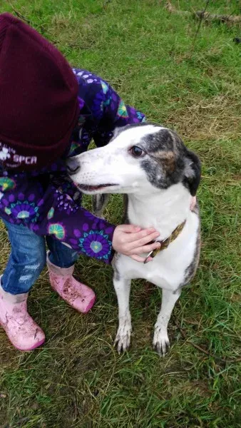 12722283 10207461494989104 1692924002 o