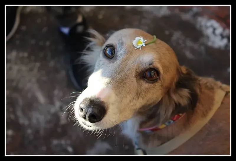 12728863 10208537114895702 3516858271317830817 n 1