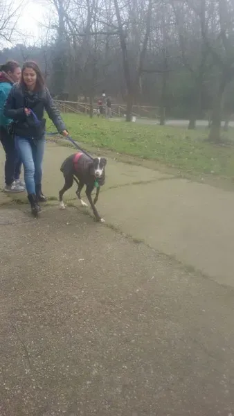 12736066 1052246614795719 1266098804 n