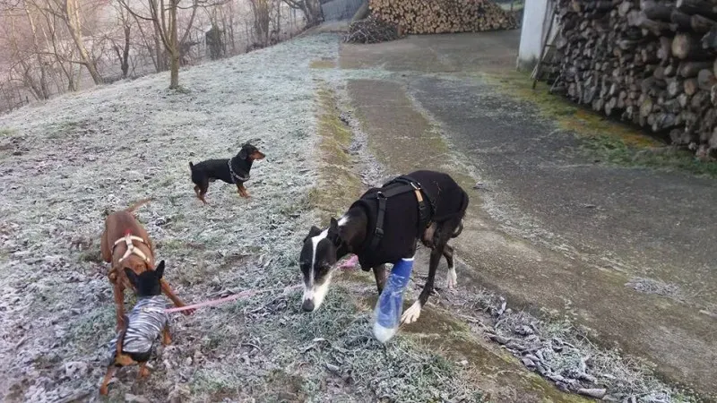 12742773 10207347750684665 8957174961397919152 n