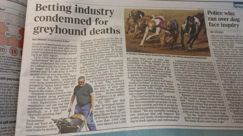 12744481 10153985791592628 3612040534993448502 n