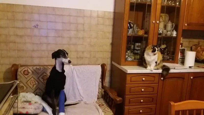 12744602 10207347749724641 1465476444254571490 n