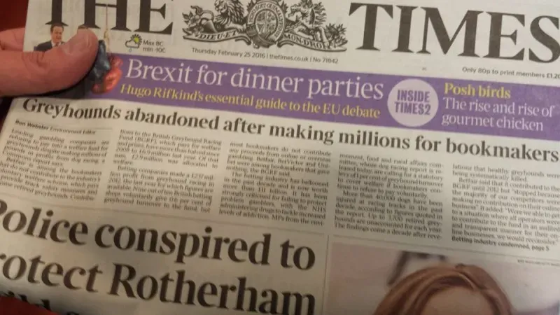 12745515 10153985781447628 701407442042297065 n