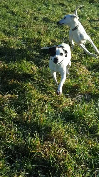 12751632 10207533579871181 346880788 o