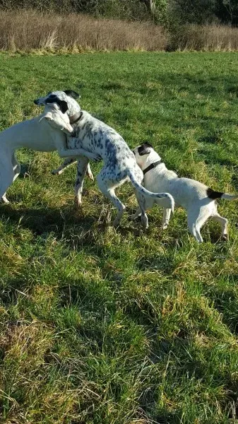 12751648 10207533579351168 205982010 o