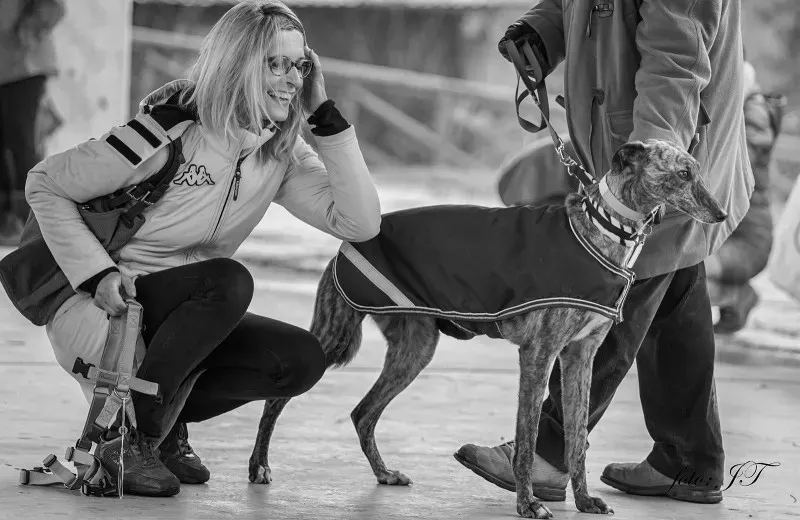 12751777 982386451830758 1652873000 o