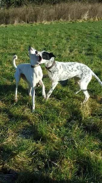 12752172 10207533580511197 25573529 o