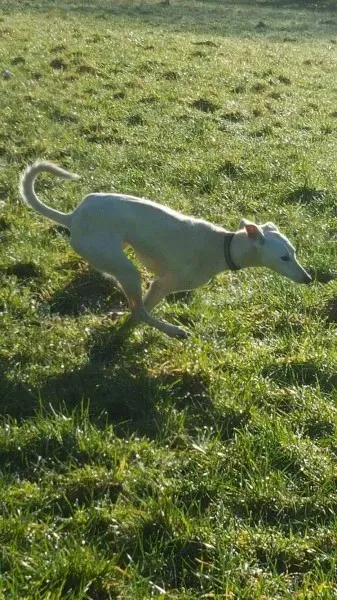 12765607 10207533577791129 959264319 o