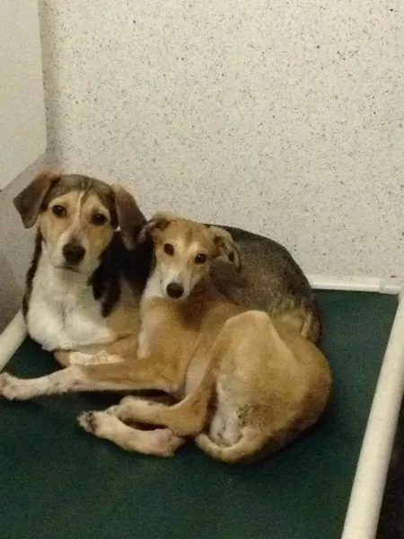 12765710 10153215506565194 1479359608 o