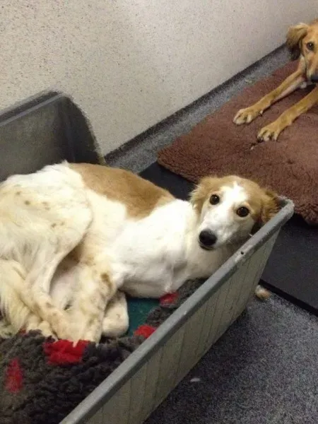 12767308 10153215487415194 1219508387 n