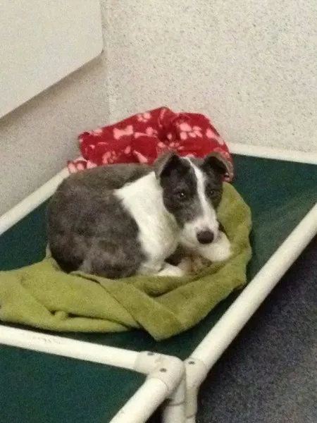 12767412 10153215501815194 1064247955 n