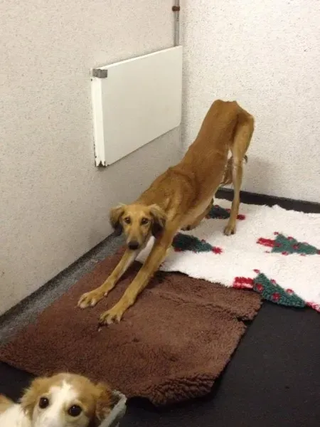 12767827 10153215491235194 664360025 o