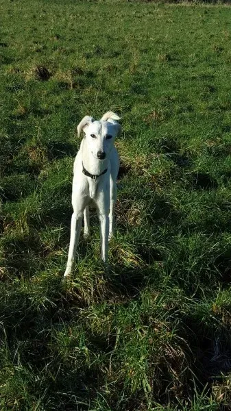 12767866 10207533578591149 665521016 o