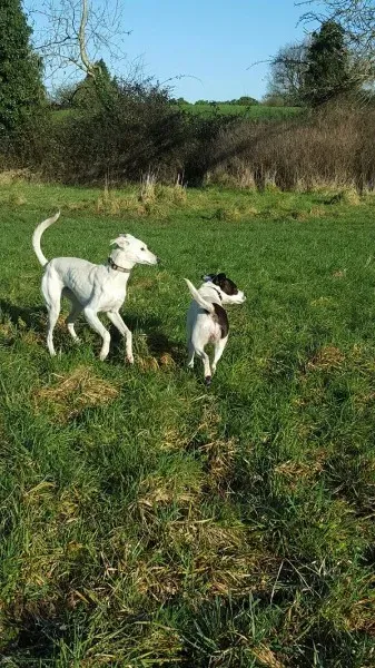 12772894 10207533579111162 938533614 o