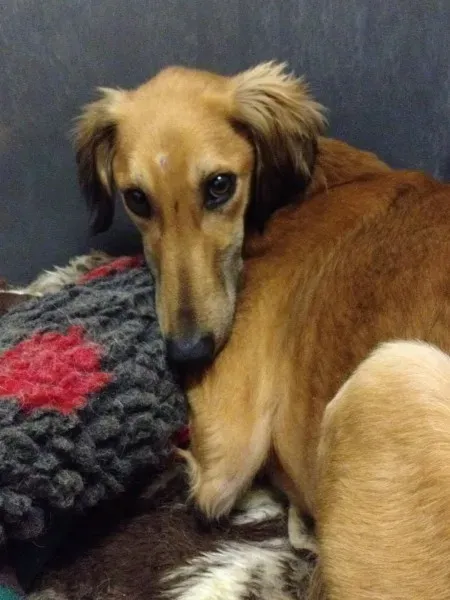 12772953 10153215490575194 27012042 o