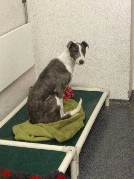 12773245 10153215501995194 4322615 o