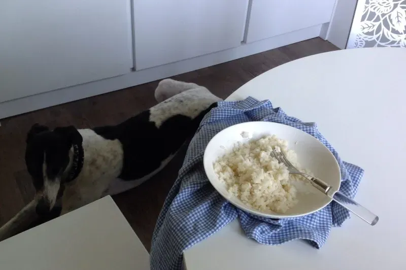 1277654 10202770457255366 1475546105 o