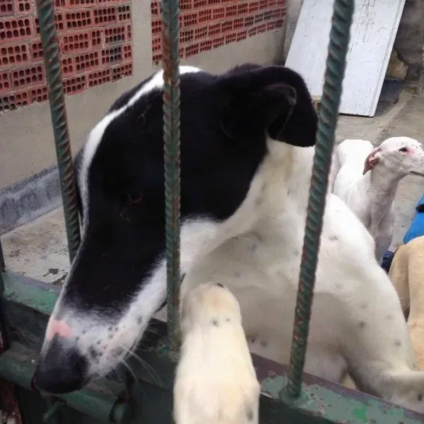 12782449 10207881751475479 225203082 n