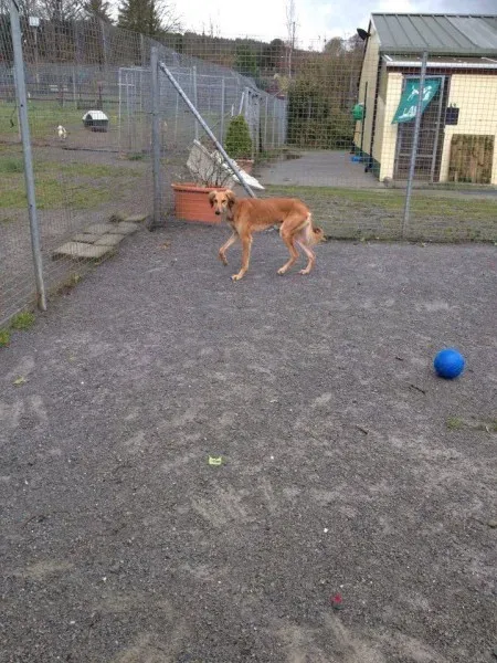 12782571 10153224667765194 1472807230 n