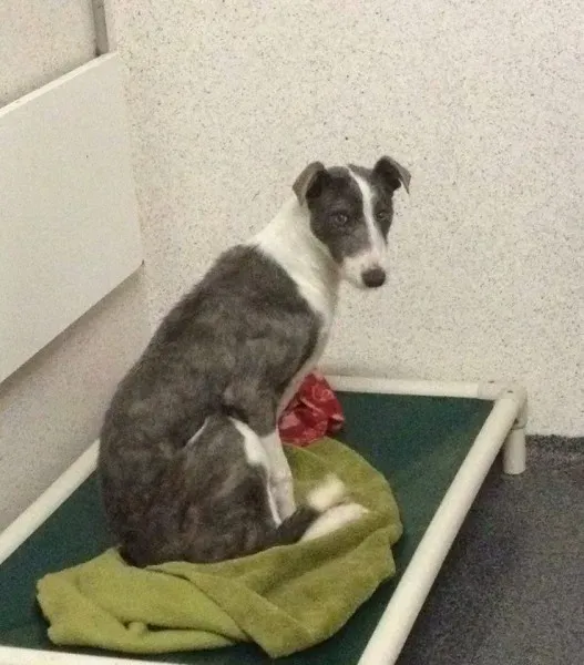 12784707 10153215502110194 179200960 n