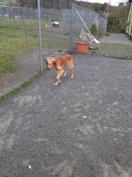 12788494 10153224667625194 266259401 o