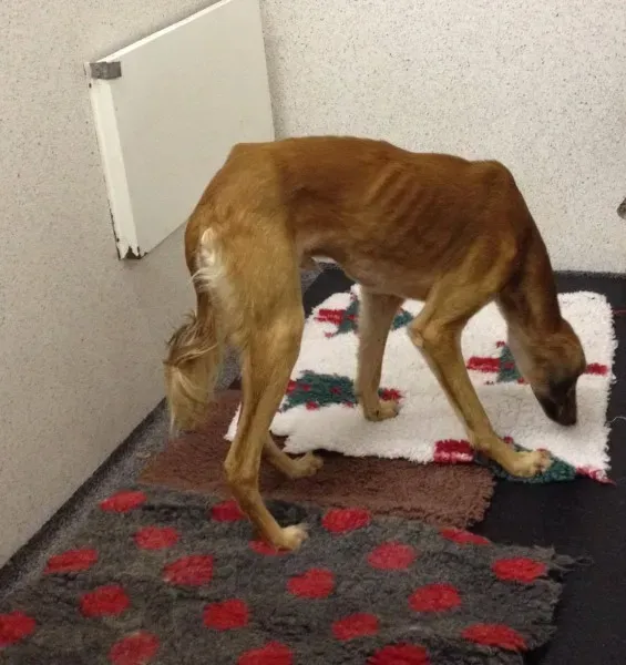 12788769 10153215490010194 411140945 o