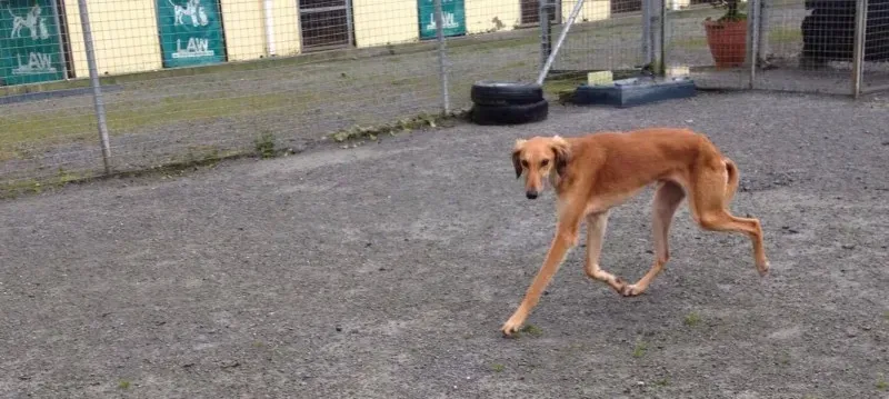 12789659 10153224668025194 861391696 o