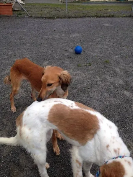 12789762 10153224668185194 1148059304 o