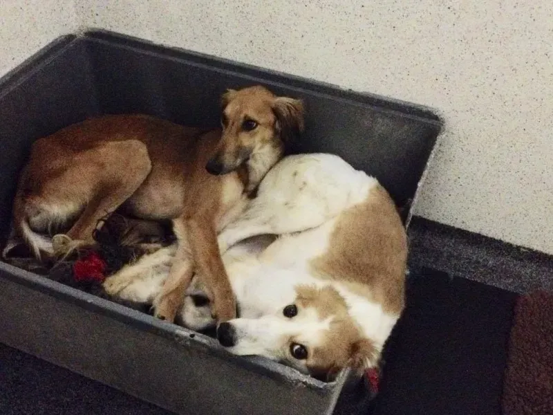 12790198 10153215491505194 1892750635 o