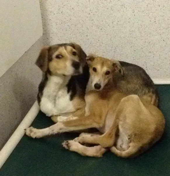 12790227 10153215506675194 1023891059 o