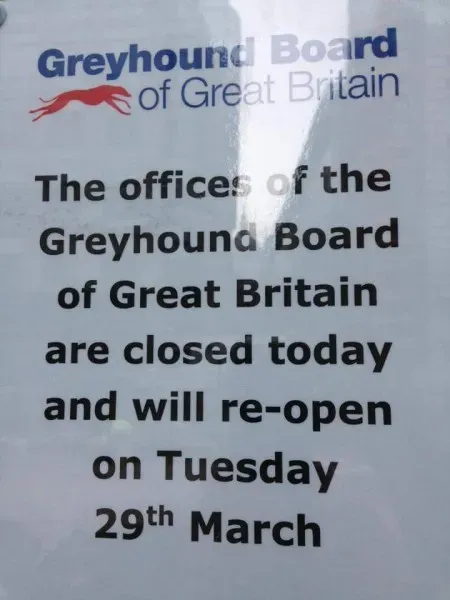 12800149 971626042945531 440913816143925600 n