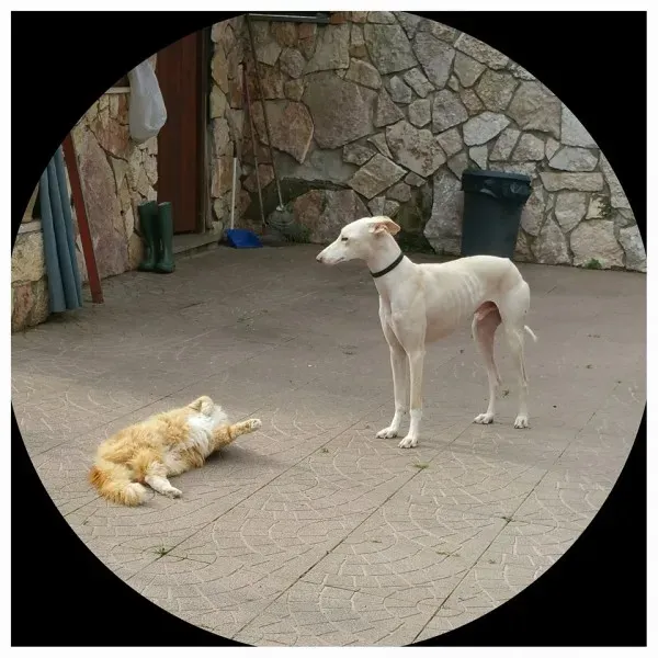 12801207 10208527529695490 8449904562176468664 n