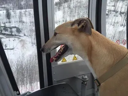 12803092 575930715896979 1906069774567051594 n