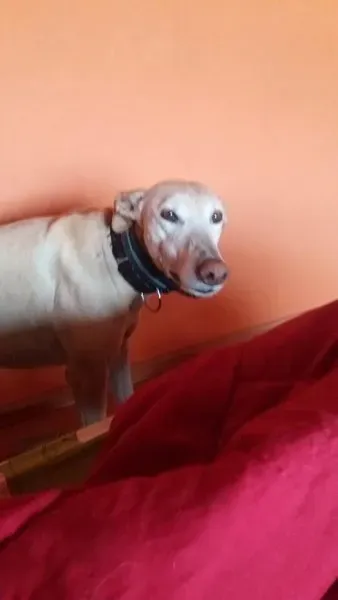 12804070 10207456806490632 1973283515 n