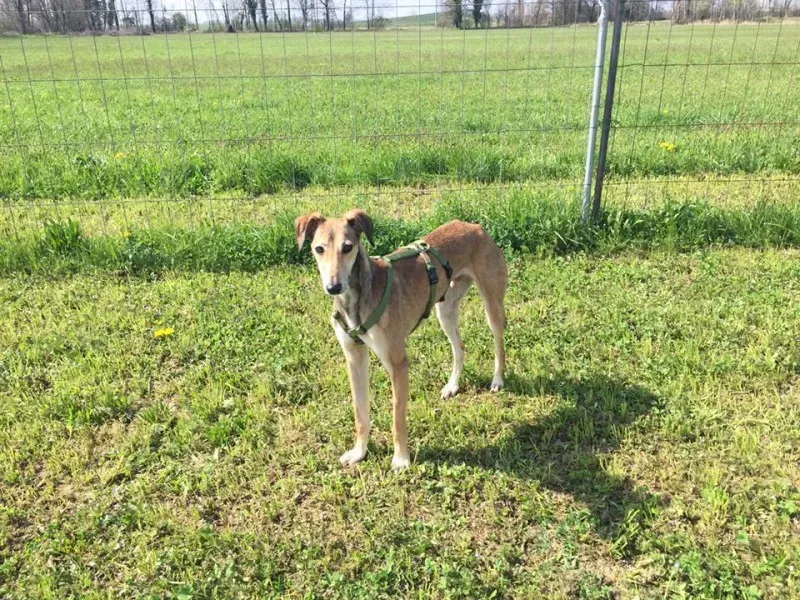 12804717 10209180444492256 5602364054484181744 n