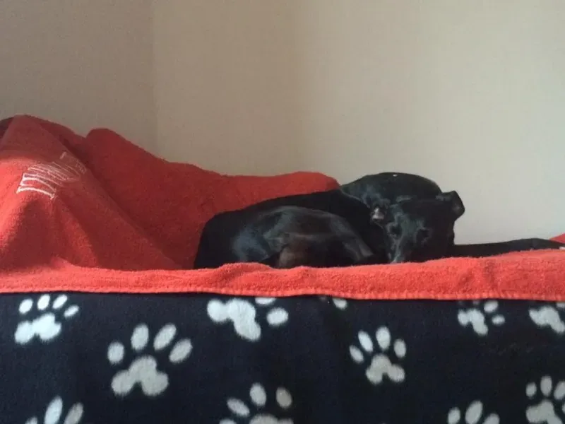 12809544 10208493524032560 4381935238053776311 n