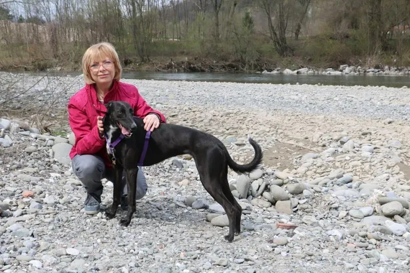 12809626 577113385790518 6768684750488320753 n