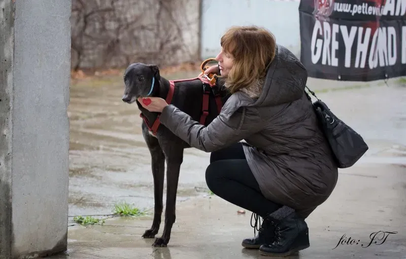 12809818 982387875163949 317521351 o