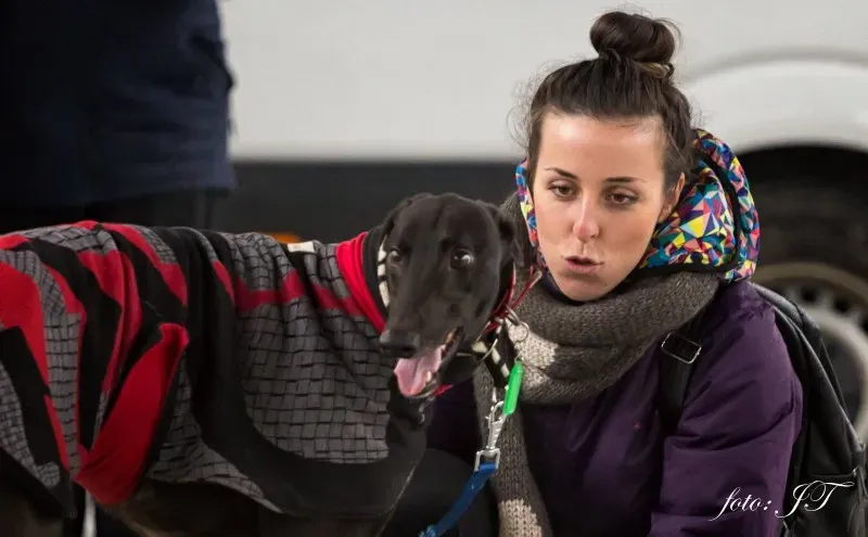 12809919 982386185164118 1564126625 o