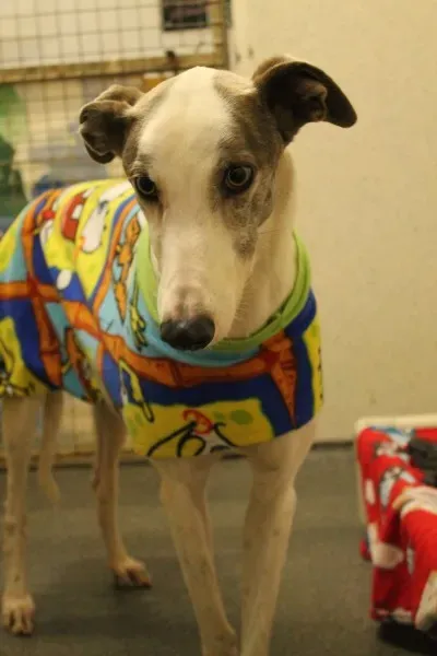 12810039 10153235688300194 402959128 o