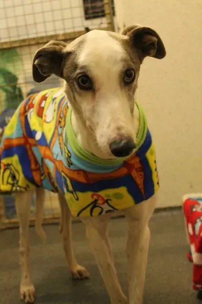 12810096 10153235688475194 821416985 o