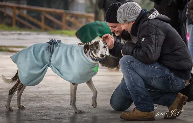 12810142 982386621830741 1365193376 o