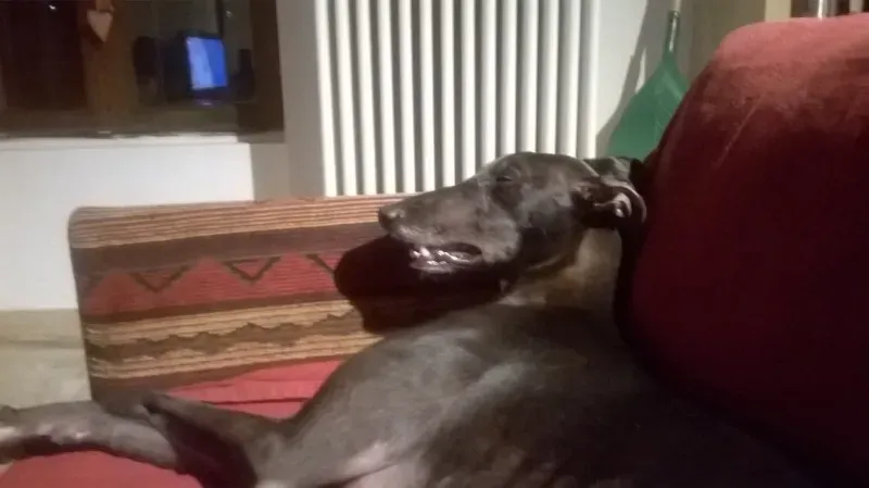 12819419 10208453416356016 7593644796594837186 o