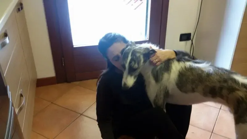 12821466 1988351291389458 6474183716980956723 n