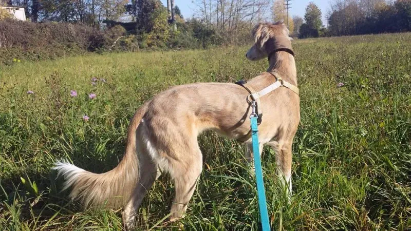 12821587 10208781036273584 1931009023161822883 n