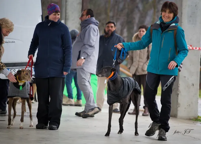 12822629 982387511830652 518813746 o