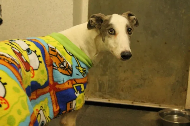 12822646 10153235686130194 657249986 o